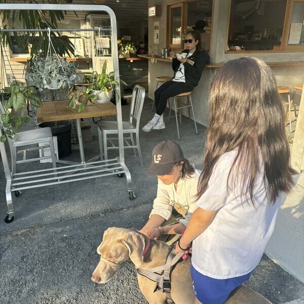 キッズたちが土間コン™︎PR毎週火曜日してくれます！ ナマコンバレー炊き出し™︎フェーズフリー