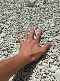 来て見て触って滞在して納得する展示場