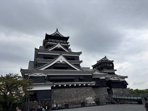 IMG_2641.jpeg
