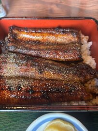 来客に出張におおわらわ 伊豆 山梨 長野
