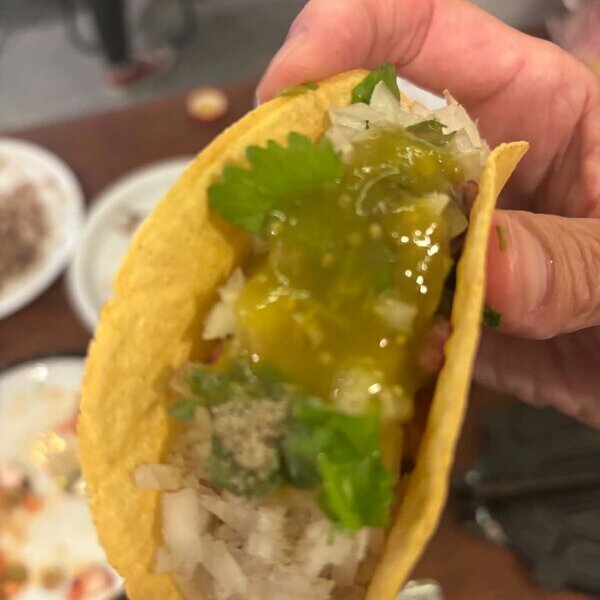 健康 食欲 クラフト 芸術 ドローン