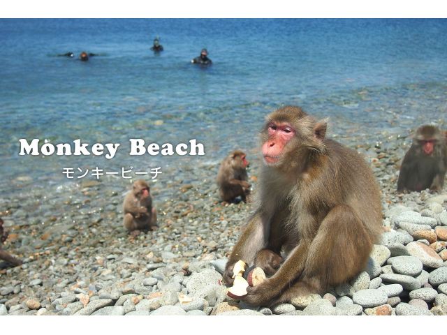 monkey_beach02.jpg
